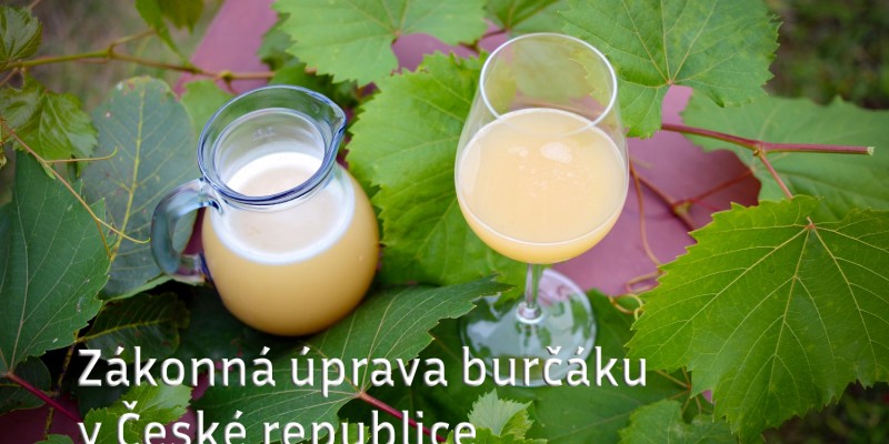 Zákonná úprava burčáku v České republice